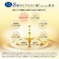 Hada Labo Gokujun Premium Hyaluronic Acid Essence 170ml